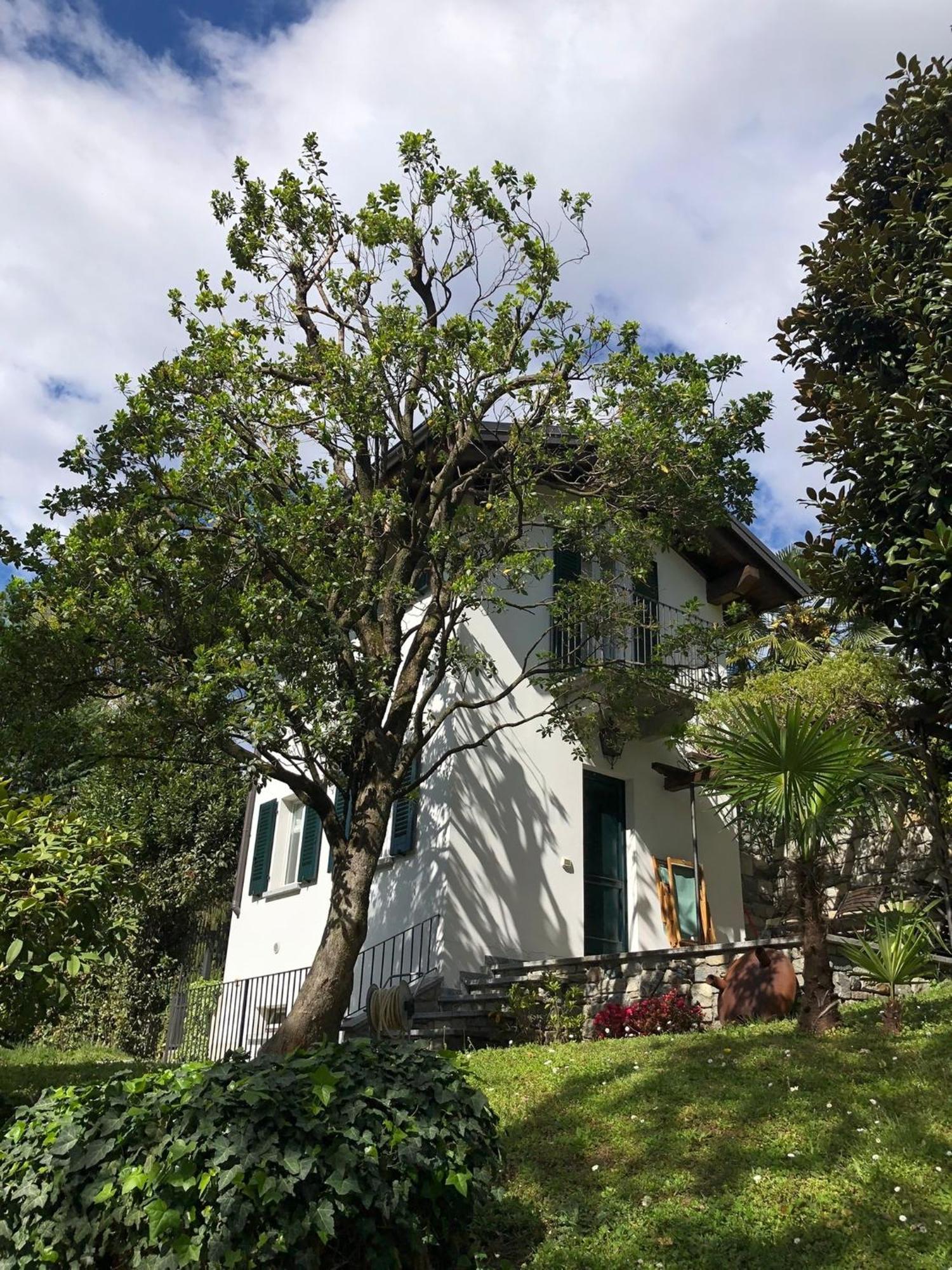 Flairhouse Parco Villa Gravedona Dış mekan fotoğraf